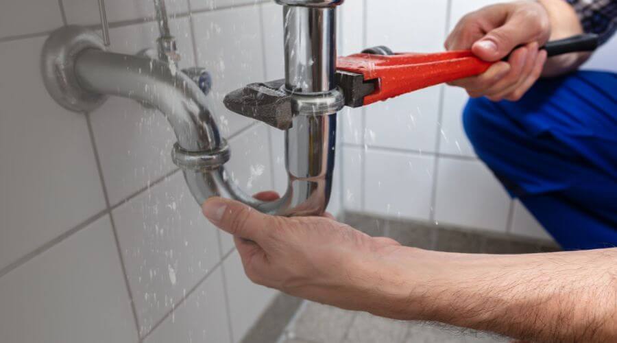 Professional Leak Detection services in Selbyville, WV